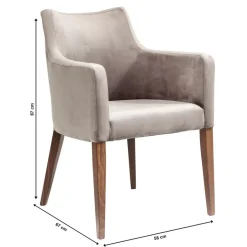 Armlehnstuhl Mode Velvet Grau