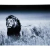 Bild Glas Lion King Standing 160X120Cm