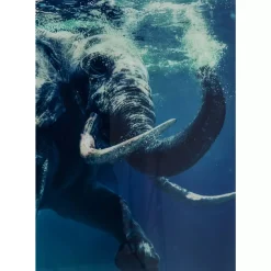 Bild Glas Swimming Elephant 180X120Cm