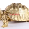 Deko Figur Turtle Gold Gros