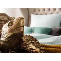 Deko Figur Turtle Gold Gros