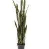 Deko Pflanze Sansewieria 155Cm