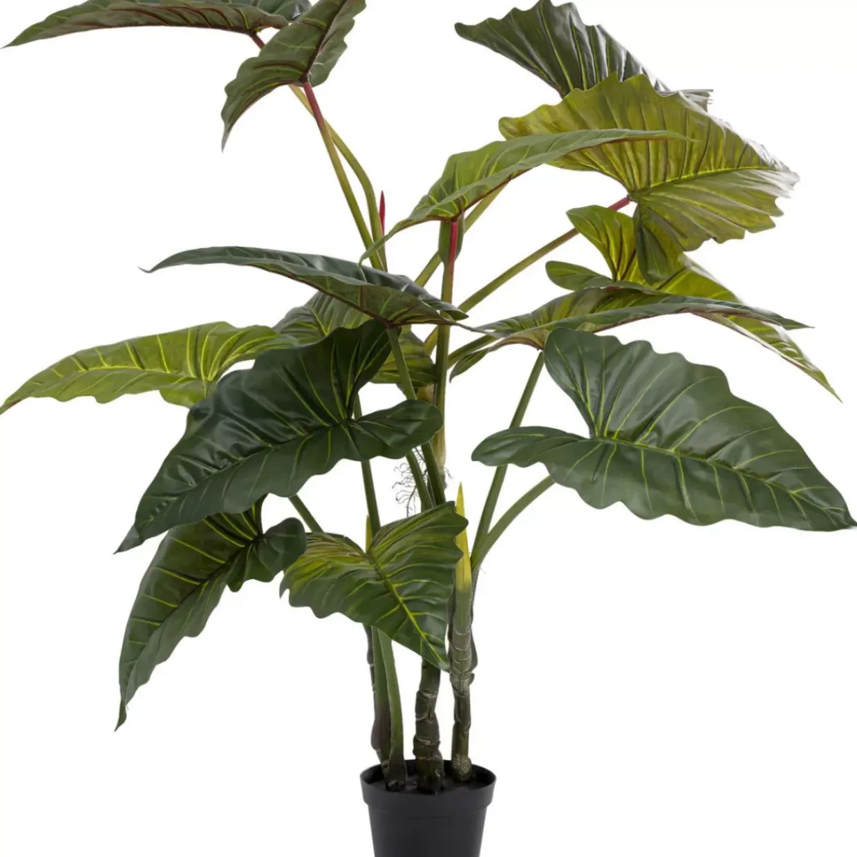 Deko Pflanze Taro 180