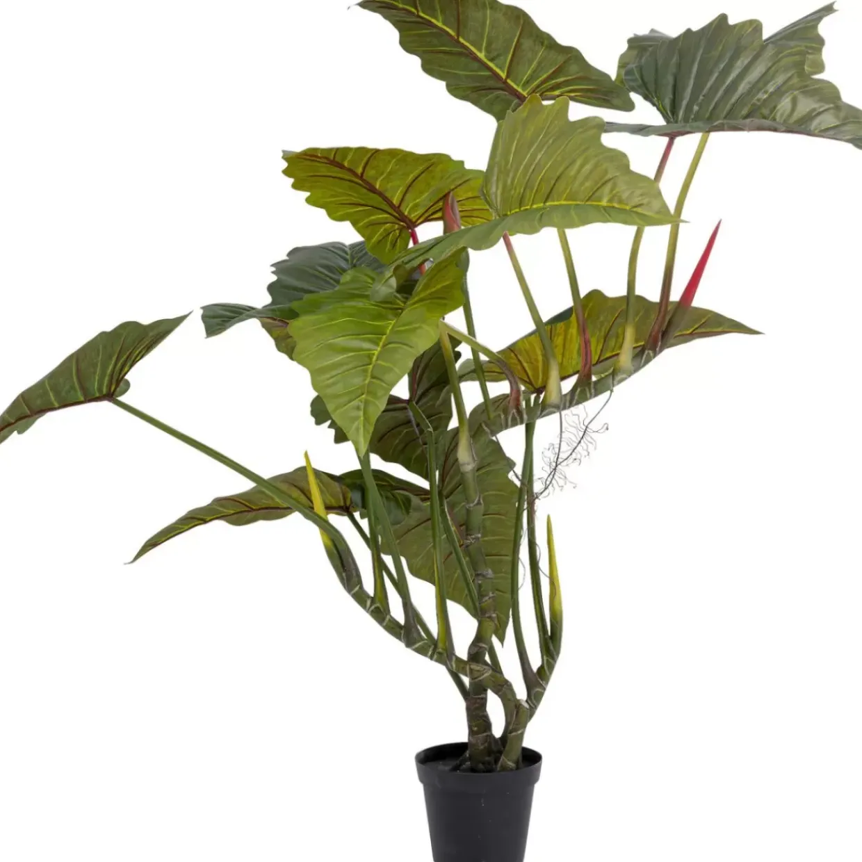 Deko Pflanze Taro 180