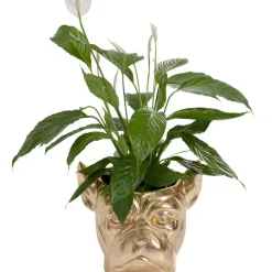 Deko Ubertopf Bulldog Gold