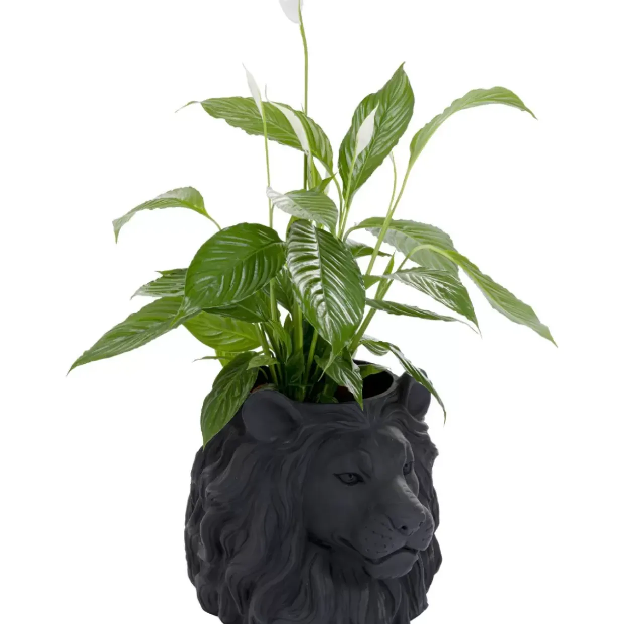 Deko Ubertopf Lion Schwarz