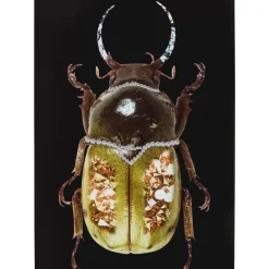 Glasbild Shiney Dung Beetle 80X120Cm