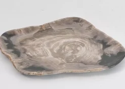 Platte Drakenhart Versteinertes Holz