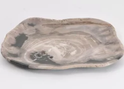 Platte Kristalmeer Versteinertes Holz