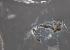 Platte Midnight Versteinertes Holz