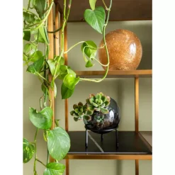 Regal Cesaro 90X170Cm