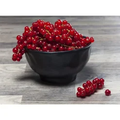 Schale Organic Black O15Cm