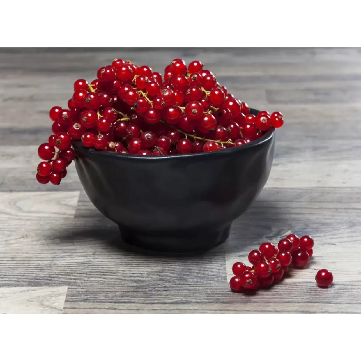 Schale Organic Black O15Cm