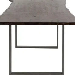 Tisch Harmony Dunkel Rohstahl 200X100