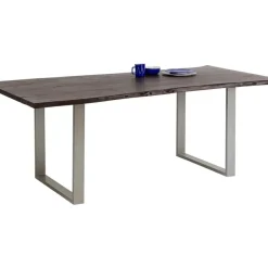 Tisch Harmony Dunkel Silber 160X80