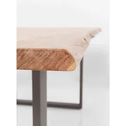 Tisch Harmony Rohstahl 200X100