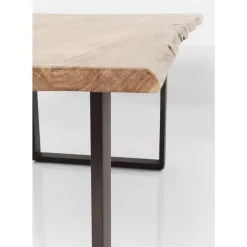 Tisch Harmony Silber 200X100