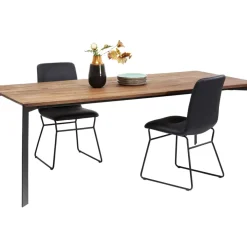 Tisch Phoenix 220X100Cm