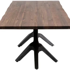 Tisch Roots Dark 220X100Cm