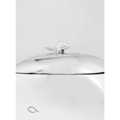 Weinkuhler Whalefish